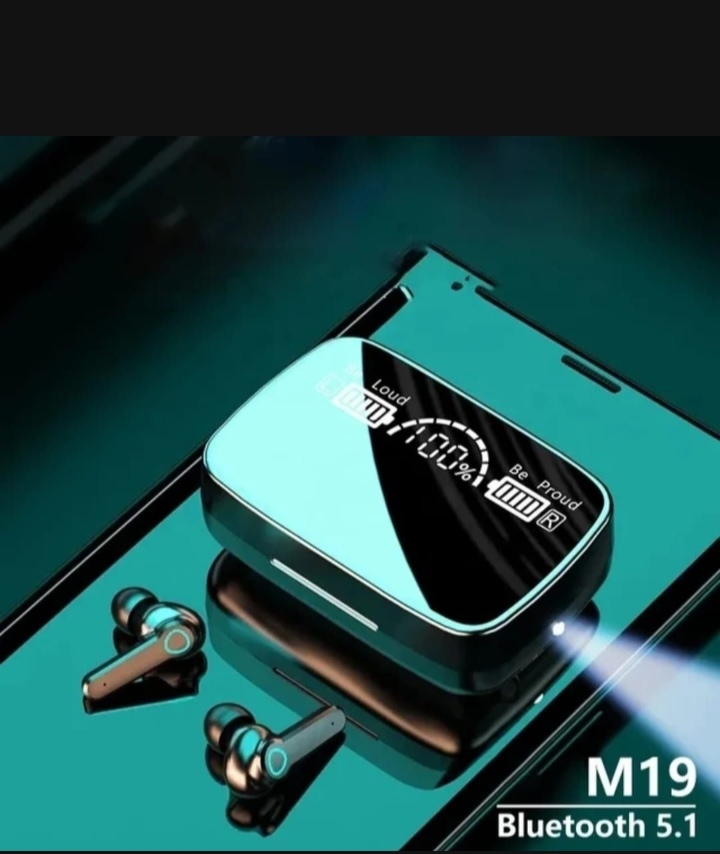 M19 earbuds