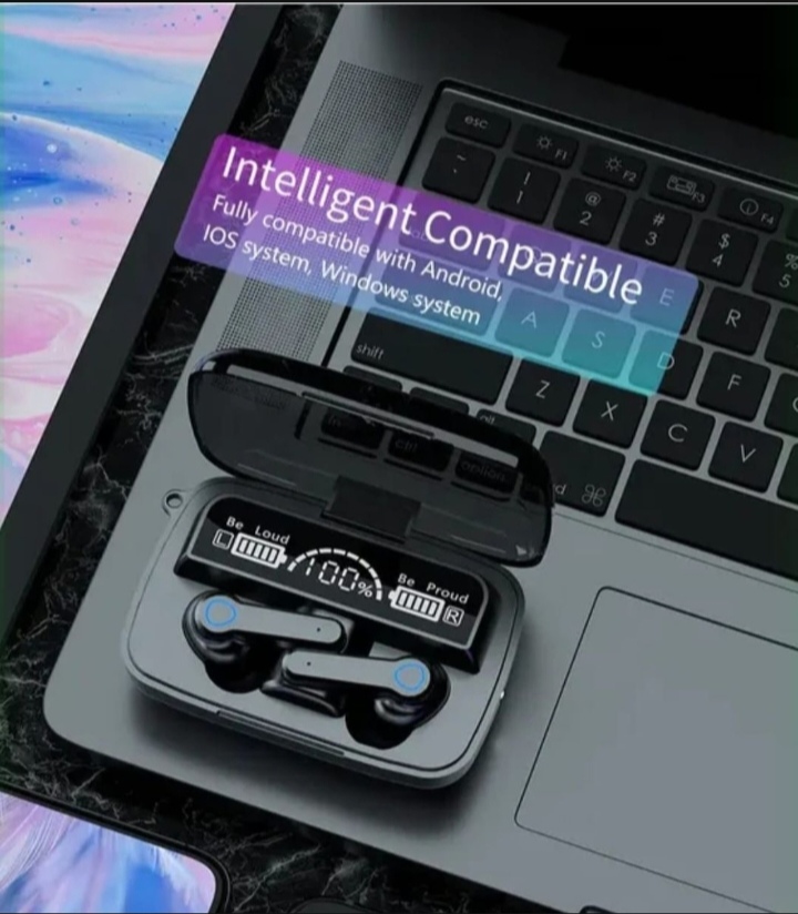 M19 earbuds