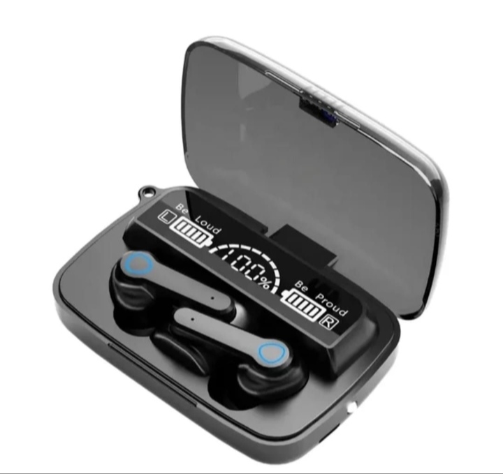 M19 earbuds